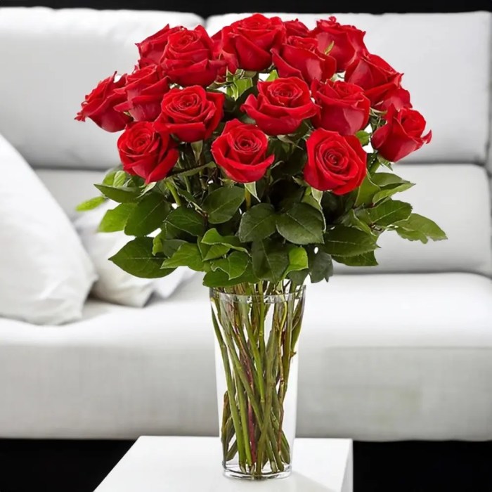 Roses red vase glass green album bouquet leaves along big picutre beautiful placed beautifully decoration long Roses red vase glass green album bouquet leaves along big picutre beautiful placed beautifully decoration long
