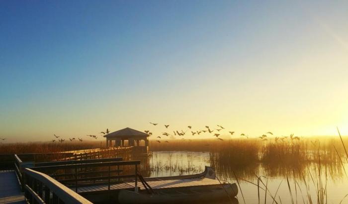 Hammock marsh Affordable oak hammock marsh vacation rentals