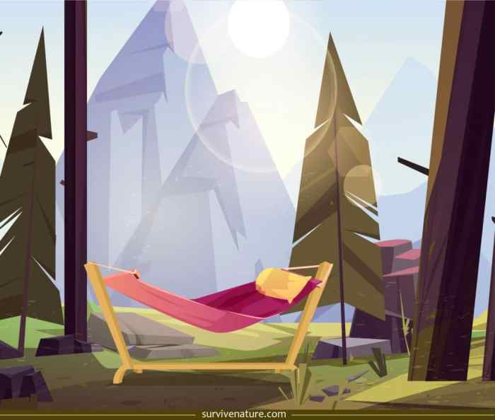 How to choose a good hammock stand for camping