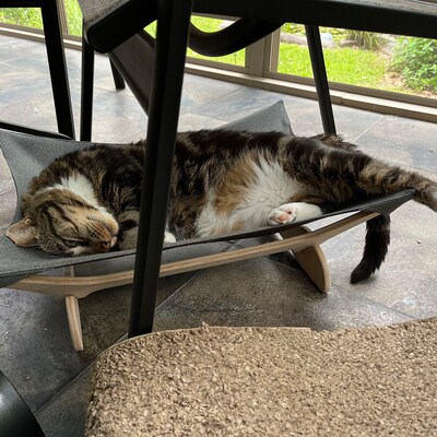 Cheap caterpillar hammock with stand for sale
