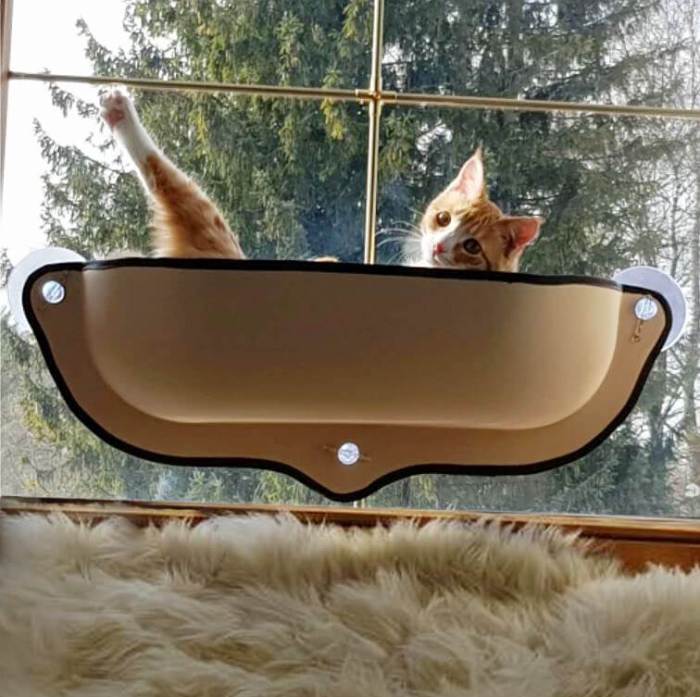 Cat hammock hammocks feline