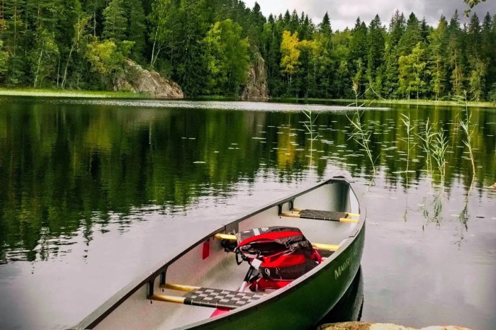 Best hammock stand for camping with tent