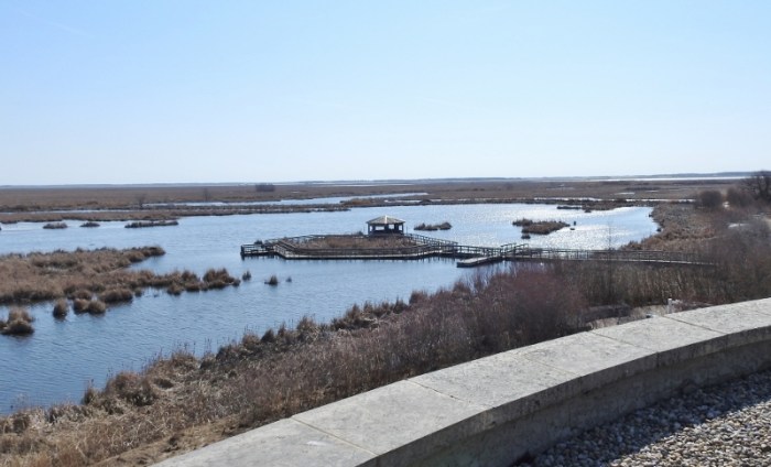 Affordable oak hammock marsh vacation rentals